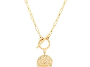 18K Gold Moon Star Lion Evil Eye Pendant Necklace Medallion Paperclip Chain Choker Layering Jewelry for Women Girls