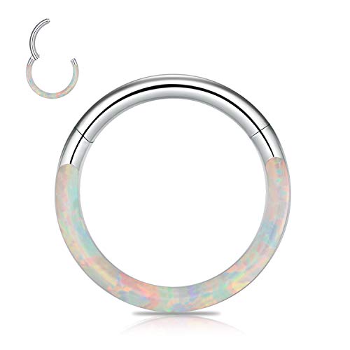 CICIMOTO Septum Jewelry Daith Earring Opal CZ 16G 18G 20G 316L Surgical Steel Hinged Segment Nose Ring Hoop Septum Clicker Helix Cartilage Tragus Piercing Jewelry for Women CICIMOTO Septum Jewelry Daith Earring Opal CZ 16G 18G 20G 316L Surgical Steel Hinged Segment Nose Ring Hoop Septum Clicker Helix Cartilage Tragus Piercing Jewelry for Women