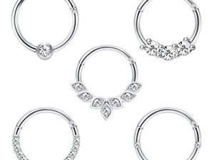 Drperfect Daith Earrings 16G Stainless Steel Cartilage Helix Tragus Nose Hoop Piercing Jewelry 8MM 10mm Silver Gold Rose Gold Black Plated CZ Hinged Septum Clicker Rings