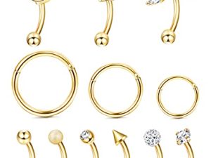 Ubjuliwa 12pcs 16G Rook Piercing Jewelry Eyebrow Rings Stainless Steel Belly Lip Ring Cartilage Hoop Rook Daith Earrings Tragus CZ Body Piercing Curved Barbell
