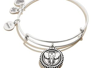 Alex and Ani Path of Symbols Expandable Bangle for Women
